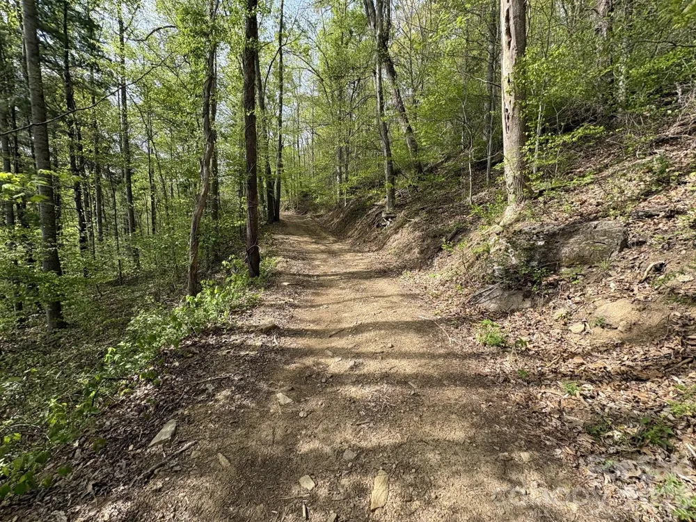 999999 Harwood Road Barnardsville, NC 28709
