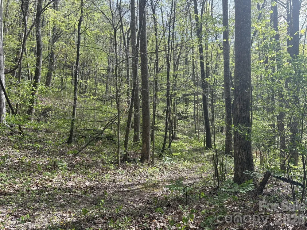 999999 Harwood Road Barnardsville, NC 28709