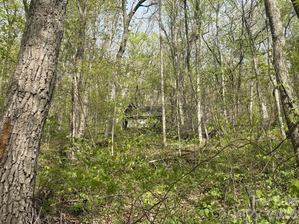 999999 Harwood Road Barnardsville, NC 28709