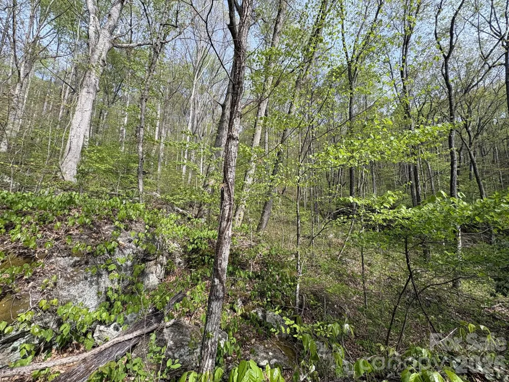 999999 Harwood Road Barnardsville, NC 28709