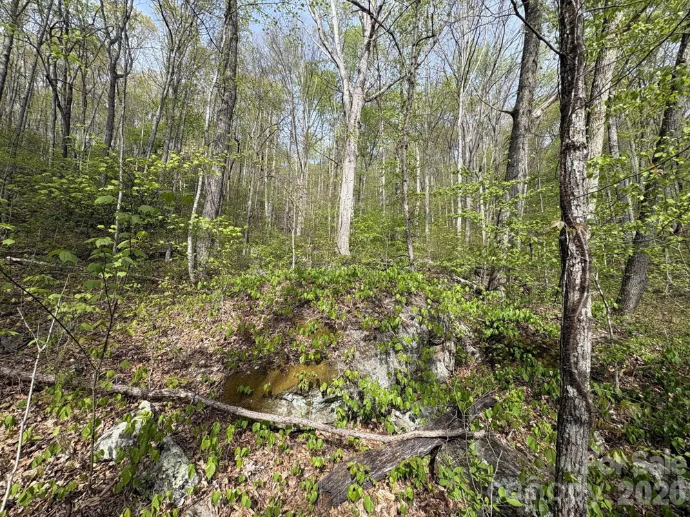 999999 Harwood Road Barnardsville, NC 28709