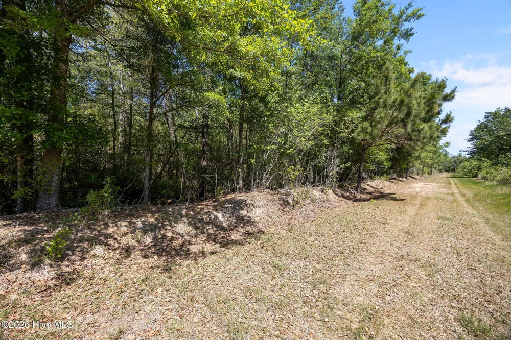 7529 Sidney-Cherry Grove Road Tabor City, NC 28463