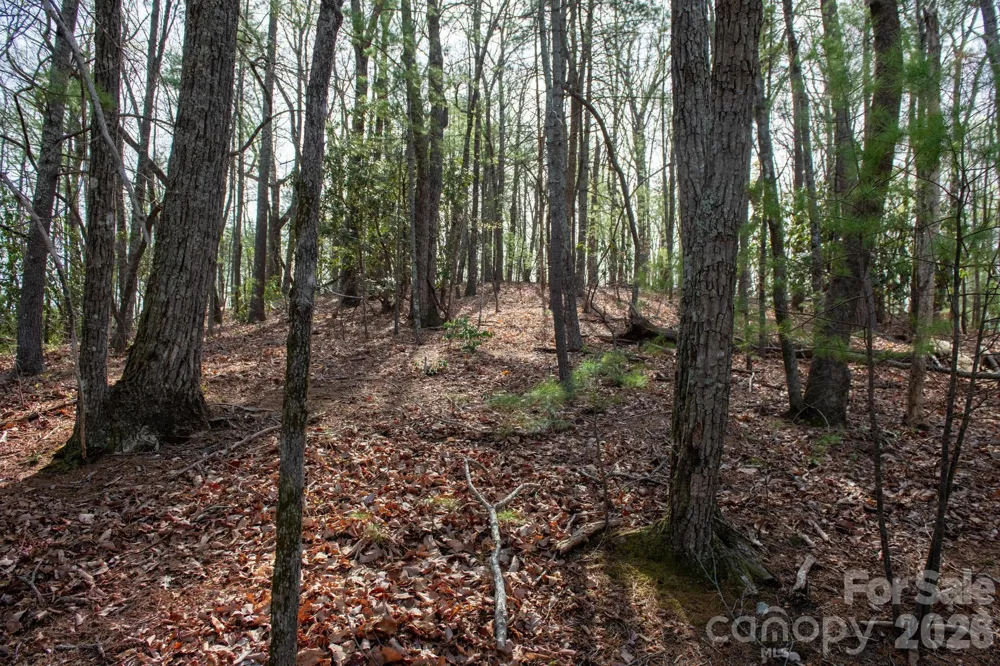 000 Blowing Rock Boulevard Lenoir, NC 28645