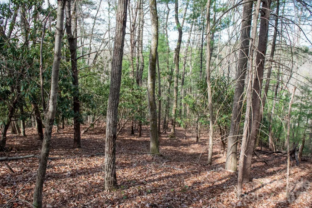 000 Blowing Rock Boulevard Lenoir, NC 28645