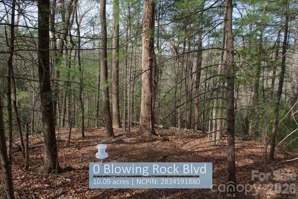 000 Blowing Rock Boulevard Lenoir, NC 28645