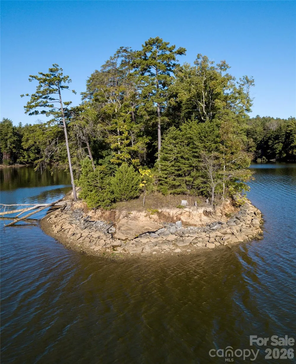 179 Turtle Head Drive #14 Nebo, NC 28761