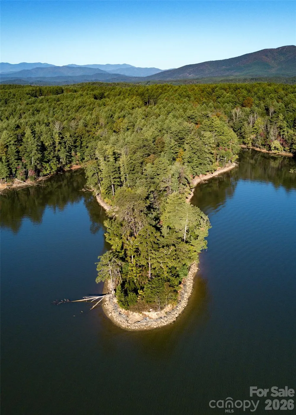 179 Turtle Head Drive #14 Nebo, NC 28761