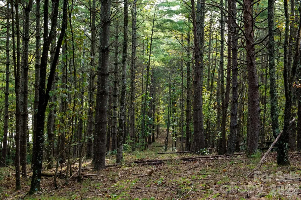 179 Turtle Head Drive #14 Nebo, NC 28761