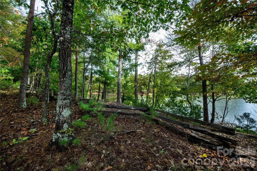 179 Turtle Head Drive #14 Nebo, NC 28761