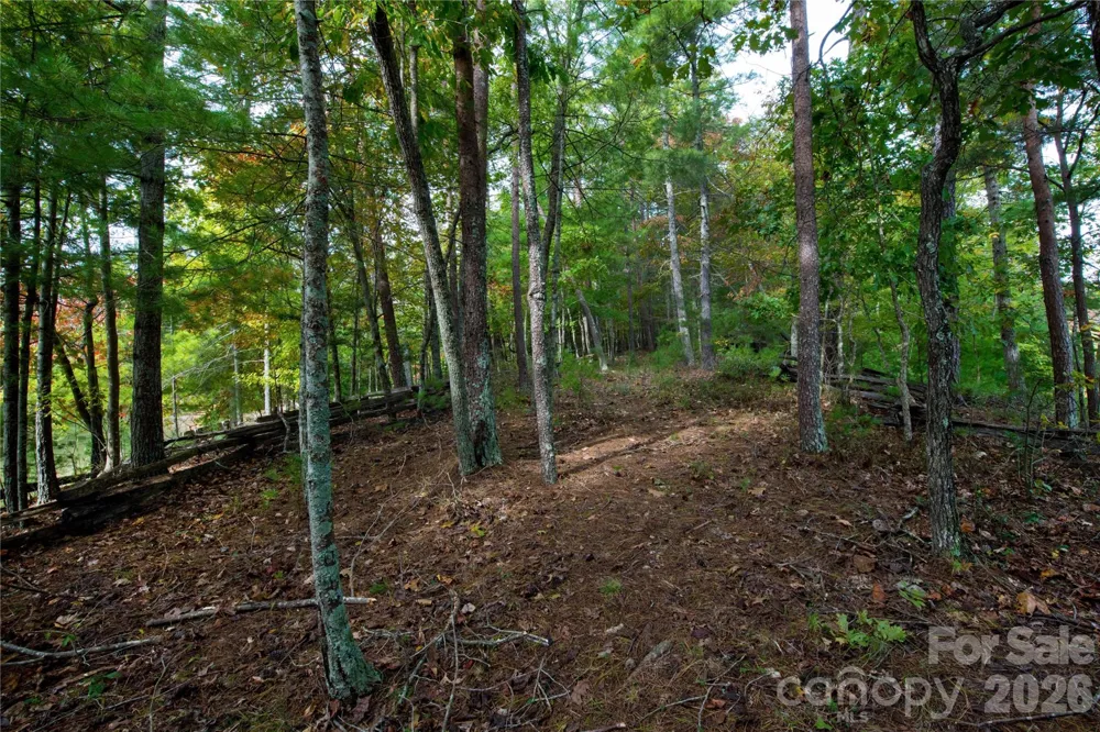 179 Turtle Head Drive #14 Nebo, NC 28761