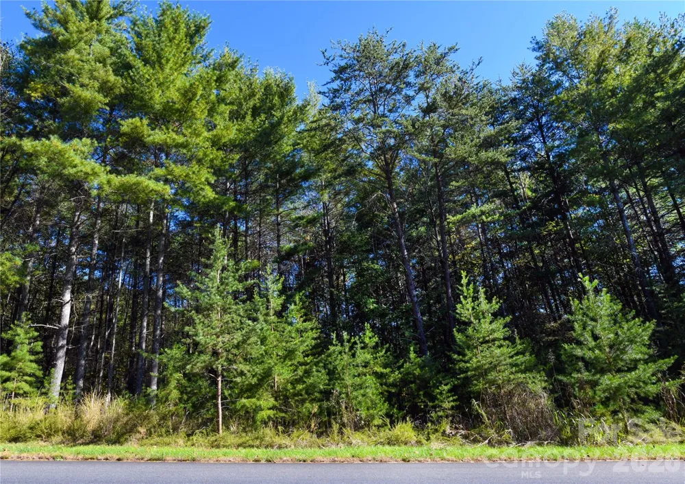 179 Turtle Head Drive #14 Nebo, NC 28761