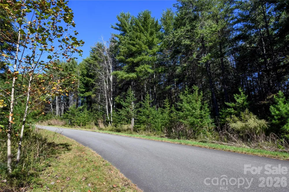 179 Turtle Head Drive #14 Nebo, NC 28761