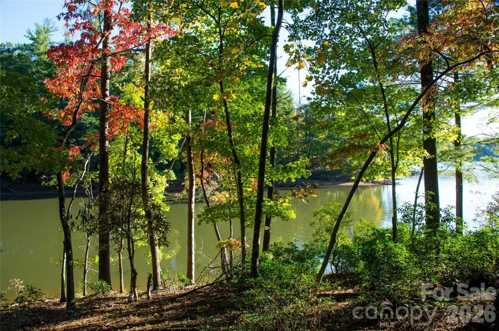 179 Turtle Head Drive #14 Nebo, NC 28761