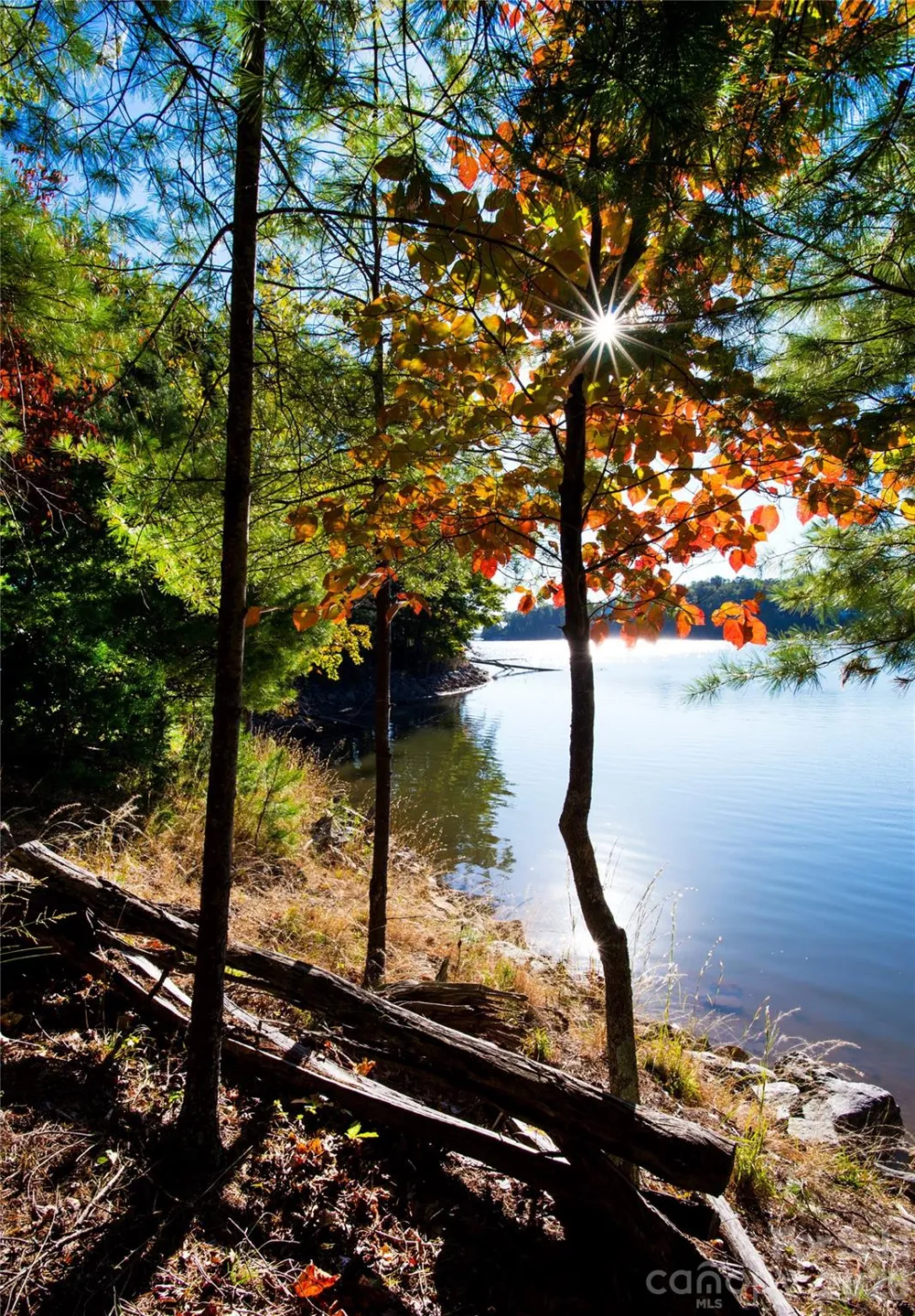 179 Turtle Head Drive #14 Nebo, NC 28761