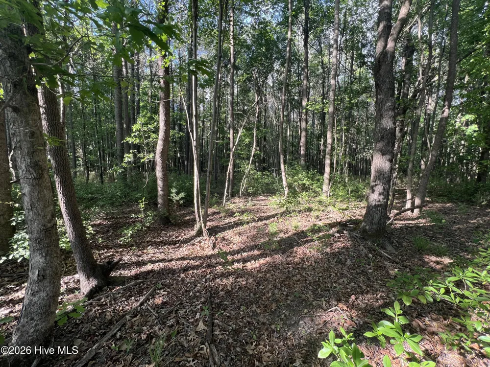 0 Nc 30 Stokes, NC 27884