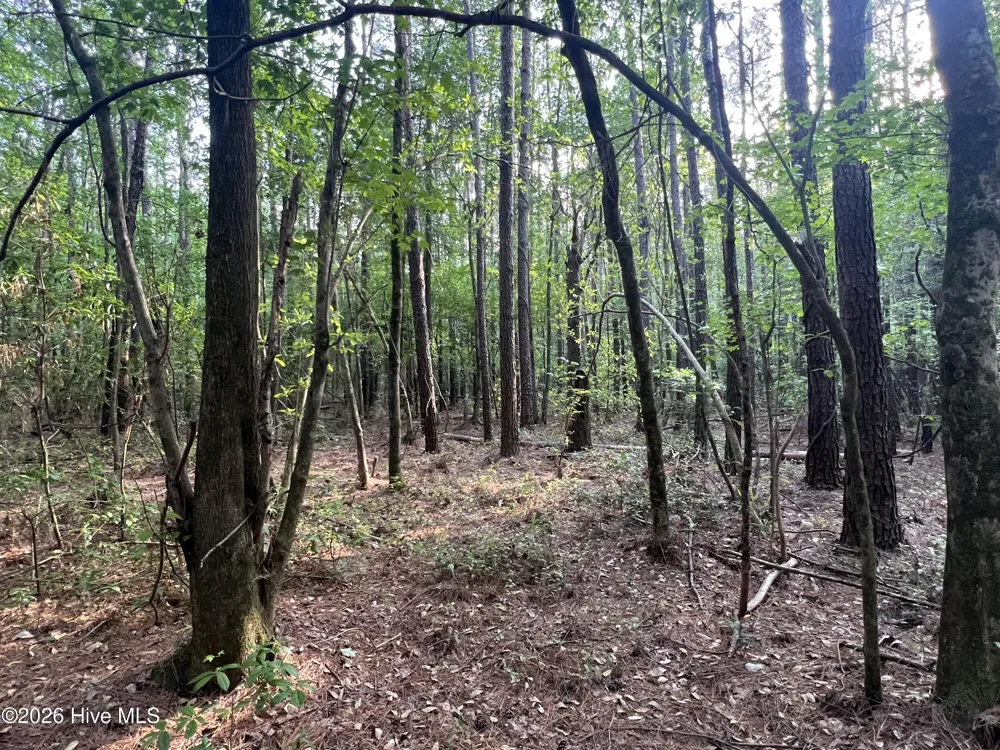 0 Nc 30 Stokes, NC 27884