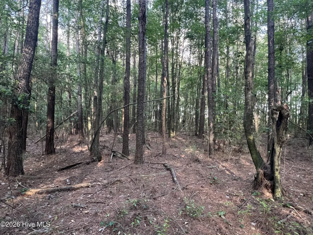 0 Nc 30 Stokes, NC 27884