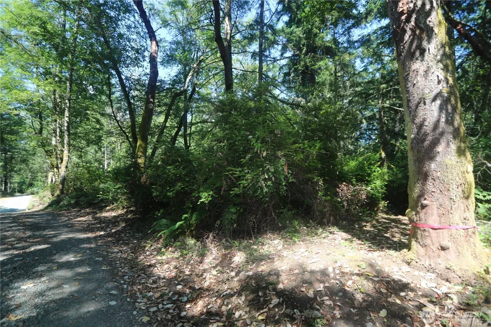28686 141st Avenue SW Vashon, WA 98070