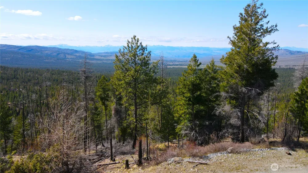 32 1 Twin Creeks Ranch Riverside, WA 98849