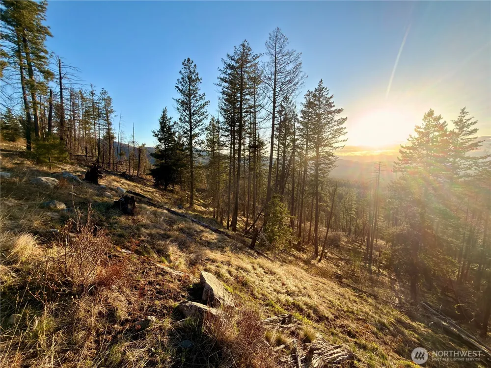 32 1 Twin Creeks Ranch Riverside, WA 98849