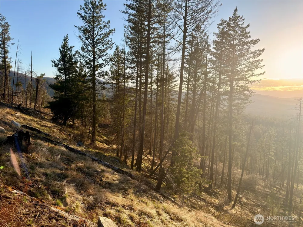 32 1 Twin Creeks Ranch Riverside, WA 98849