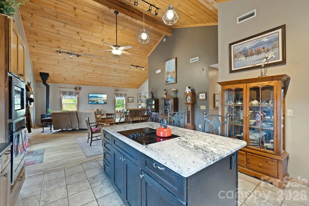 442 Blantyre Church Road Horse Shoe, NC 28742