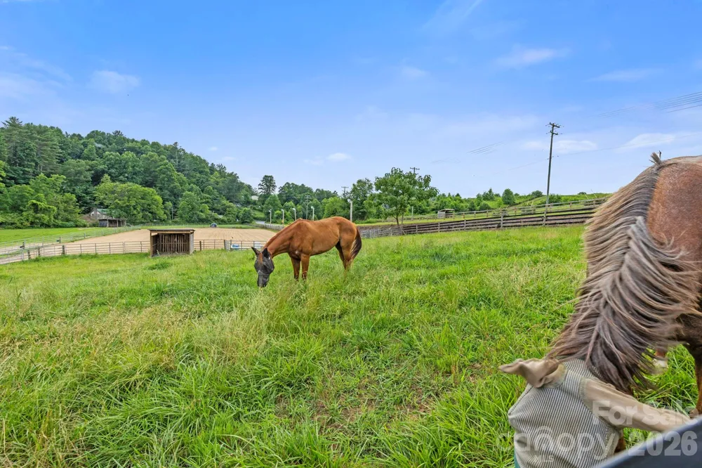 442 Blantyre Church Road Horse Shoe, NC 28742