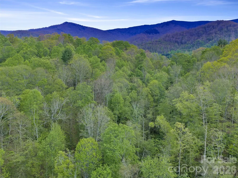 0 Odoms Chapel Road Bakersville, NC 28705