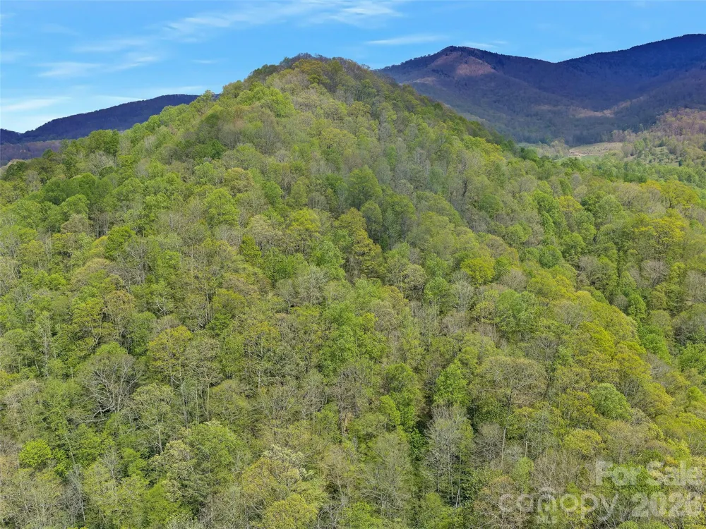 0 Odoms Chapel Road Bakersville, NC 28705