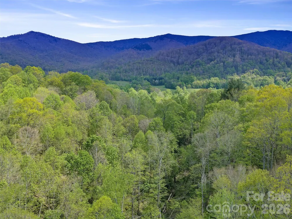 0 Odoms Chapel Road Bakersville, NC 28705