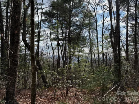TBD Staghorn Road #51 & 52A