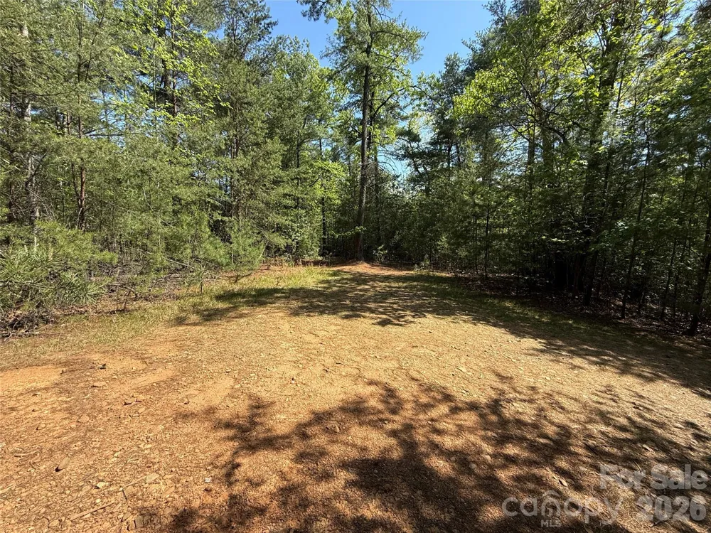 TBD Staghorn Road #51 & 52A Purlear, NC 28665