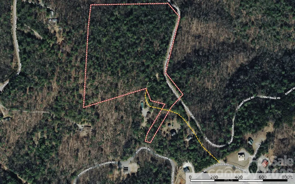 TBD Staghorn Road #51 & 52A Purlear, NC 28665
