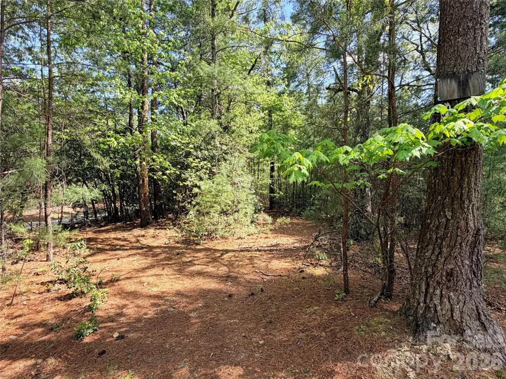 TBD Staghorn Road #51 & 52A Purlear, NC 28665