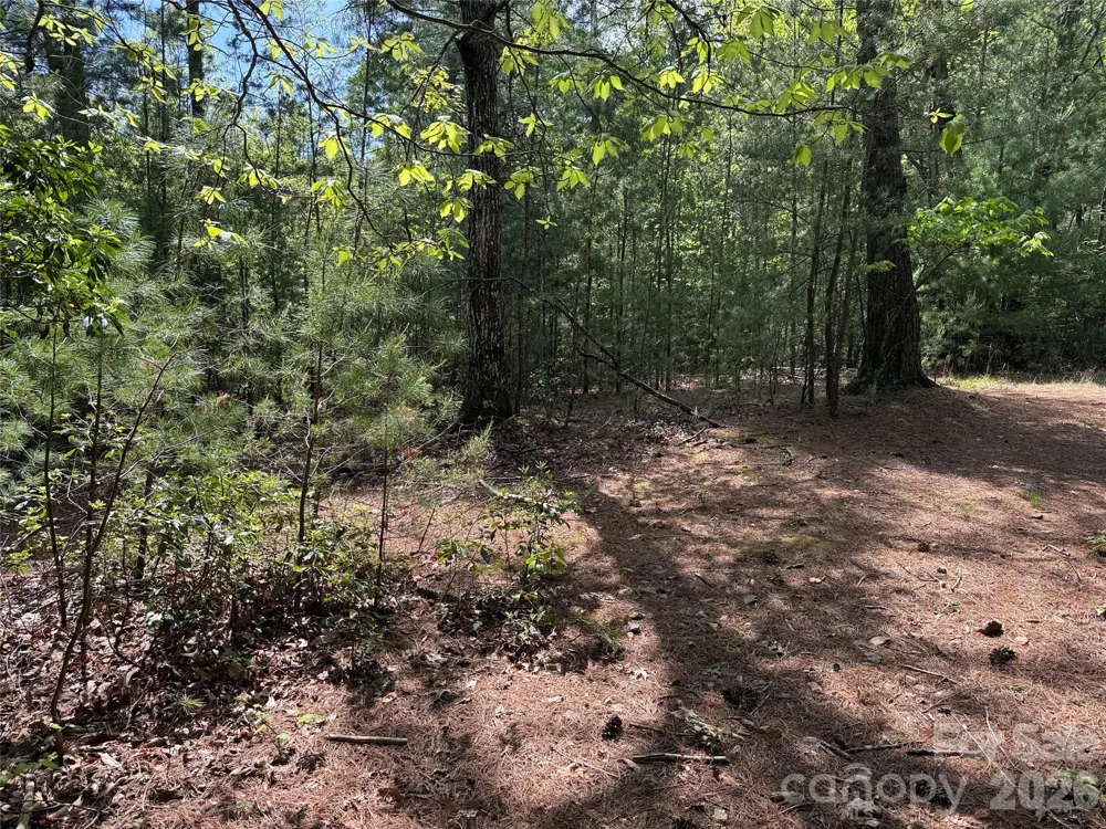 TBD Staghorn Road #51 & 52A Purlear, NC 28665