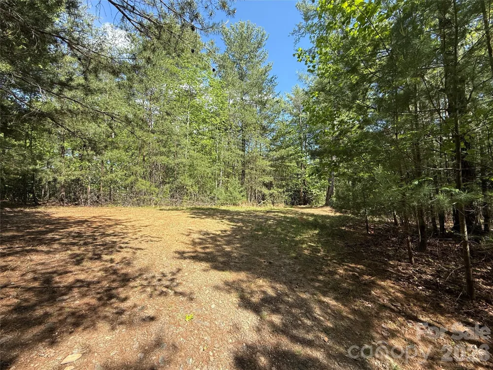 TBD Staghorn Road #51 & 52A Purlear, NC 28665