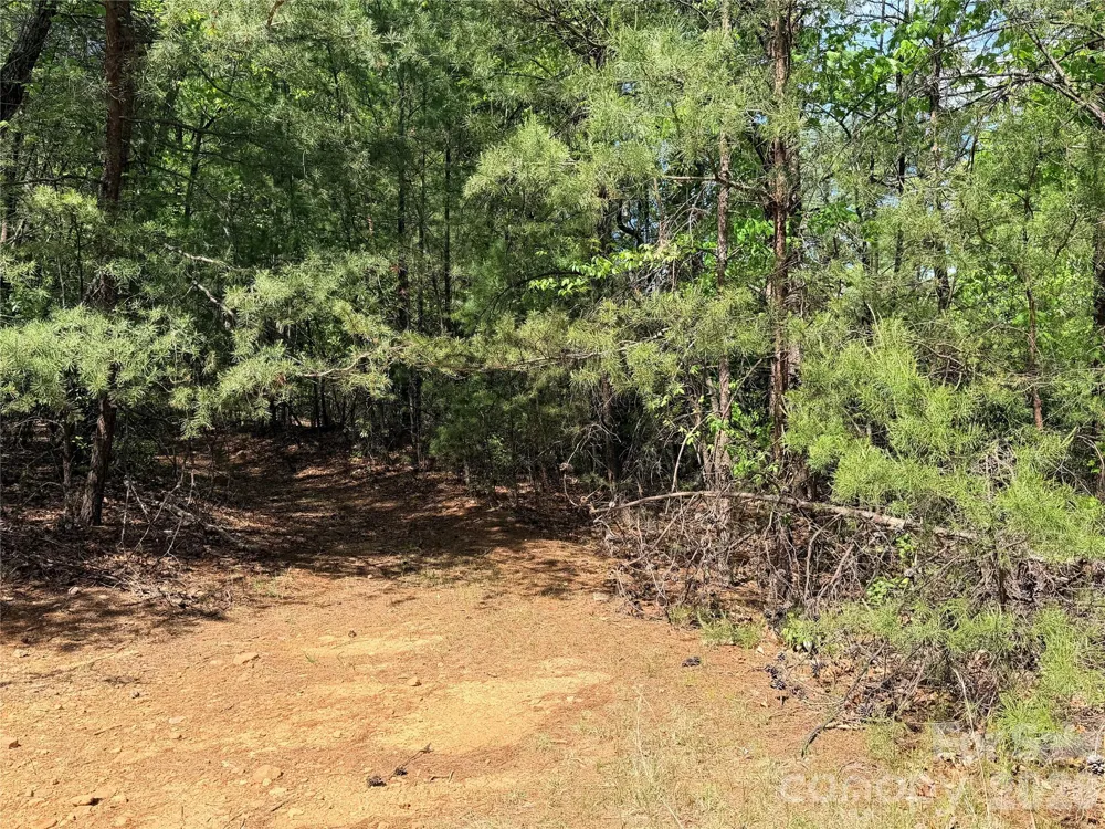 TBD Staghorn Road #51 & 52A Purlear, NC 28665
