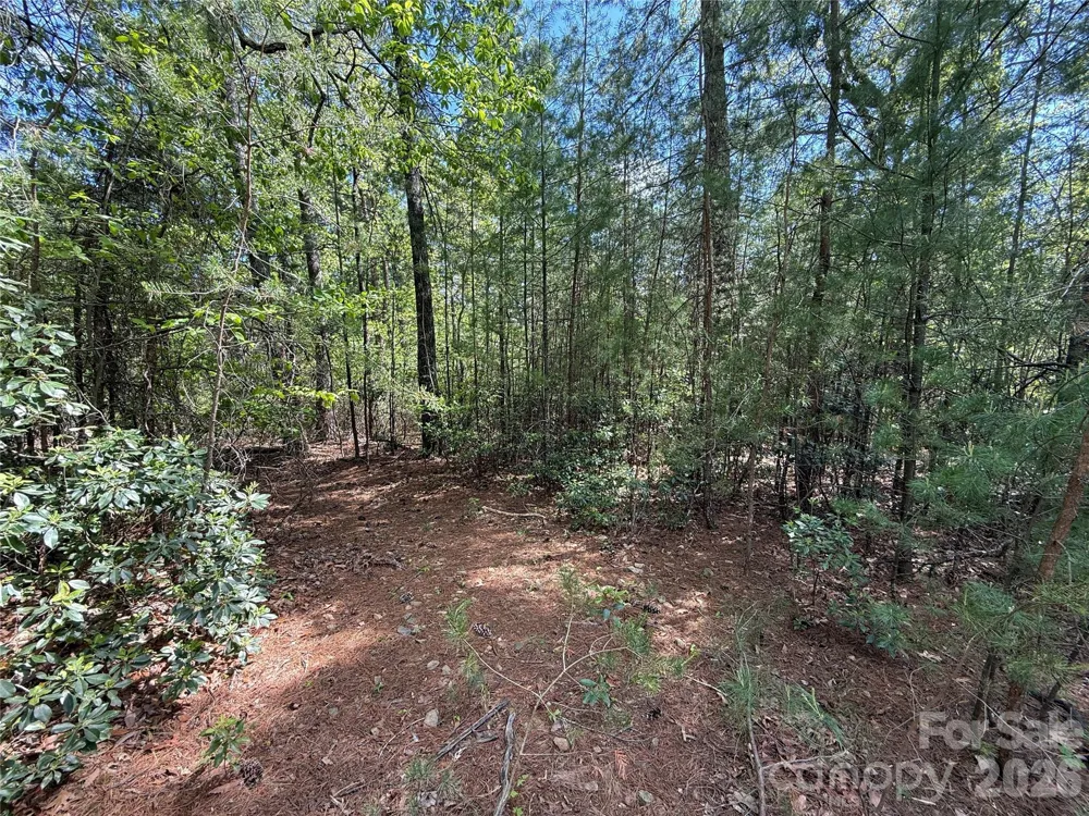 TBD Staghorn Road #51 & 52A Purlear, NC 28665