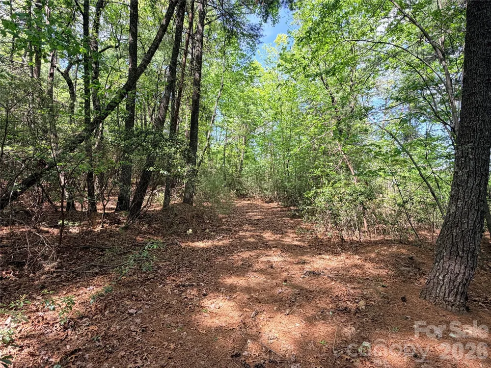 TBD Staghorn Road #51 & 52A Purlear, NC 28665