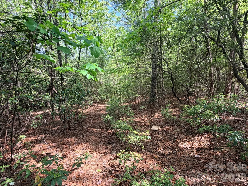 TBD Staghorn Road #51 & 52A Purlear, NC 28665
