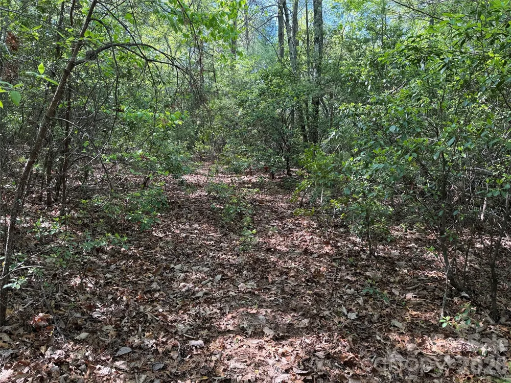 TBD Staghorn Road #51 & 52A Purlear, NC 28665