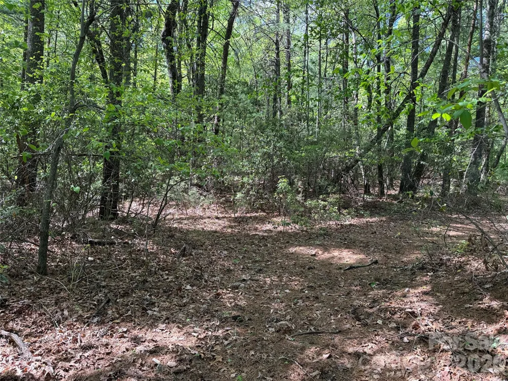 TBD Staghorn Road #51 & 52A Purlear, NC 28665