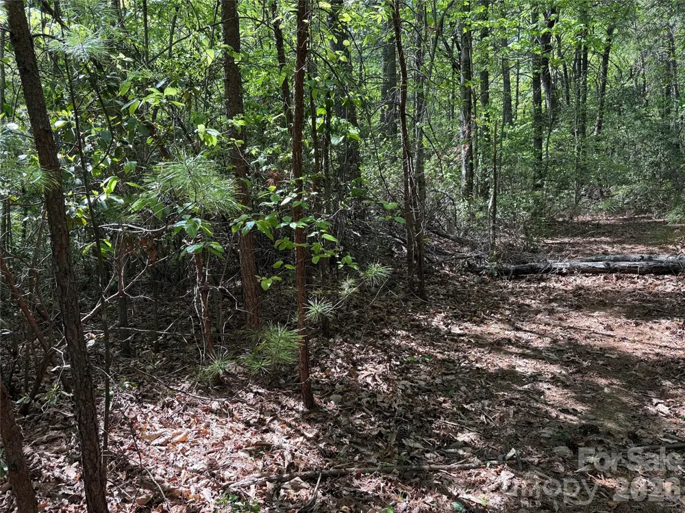 TBD Staghorn Road #51 & 52A Purlear, NC 28665