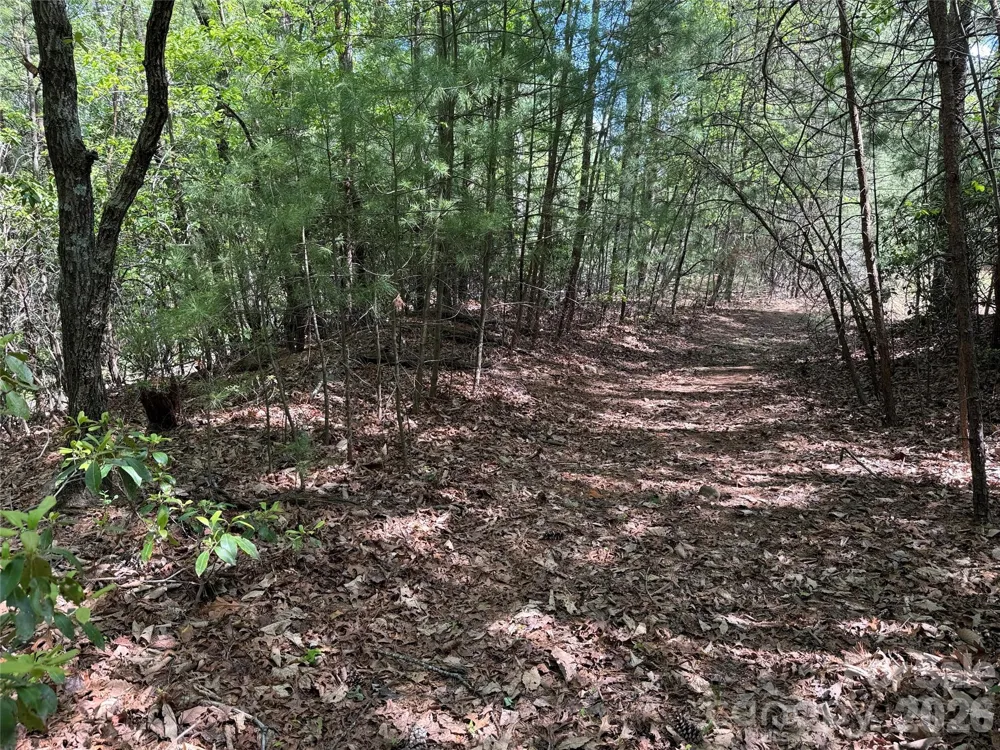 TBD Staghorn Road #51 & 52A Purlear, NC 28665