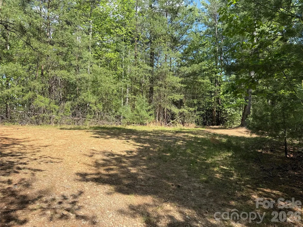 TBD Staghorn Road #51 & 52A Purlear, NC 28665