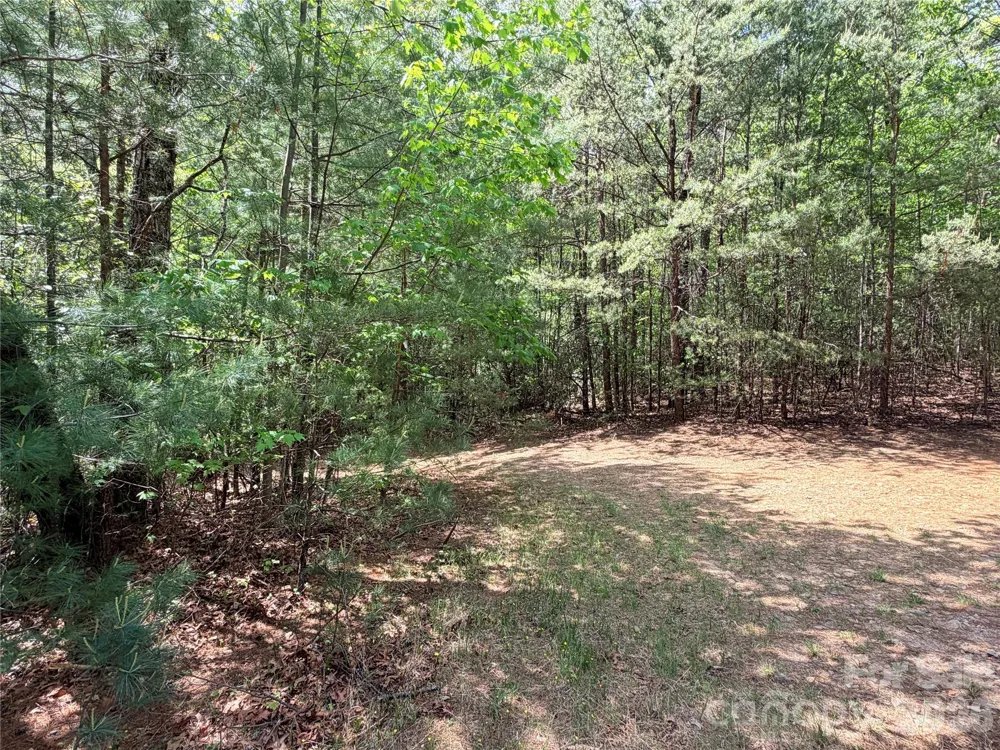 TBD Staghorn Road #51 & 52A Purlear, NC 28665