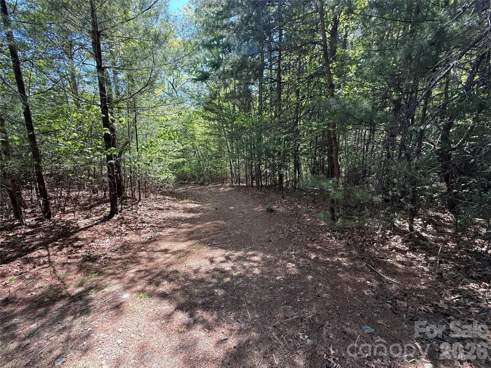 TBD Staghorn Road #51 & 52A Purlear, NC 28665