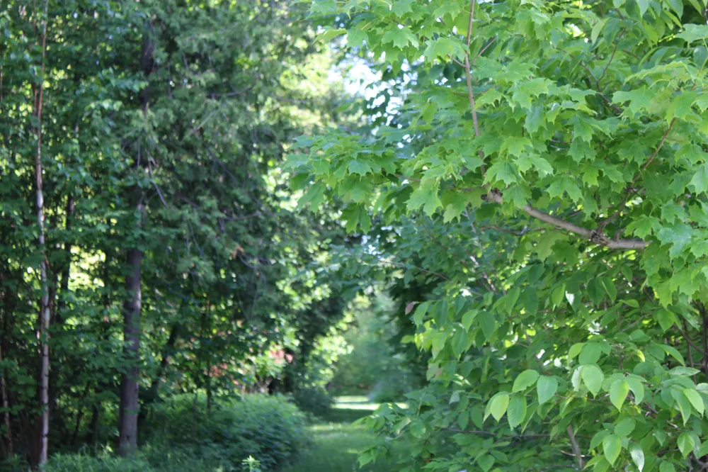 15985 Waters Edge Peninsula Township, MI 49686