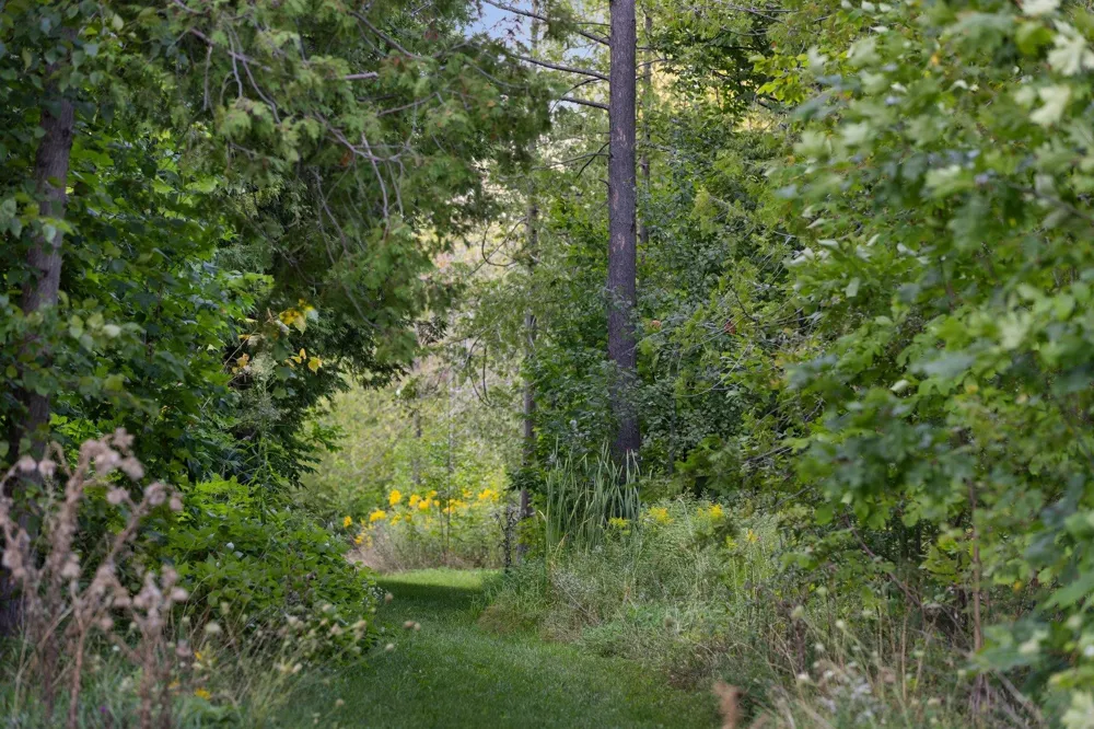 15985 Waters Edge Peninsula Township, MI 49686