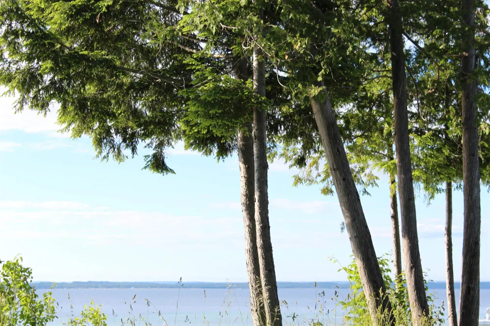 15985 Waters Edge Peninsula Township, MI 49686